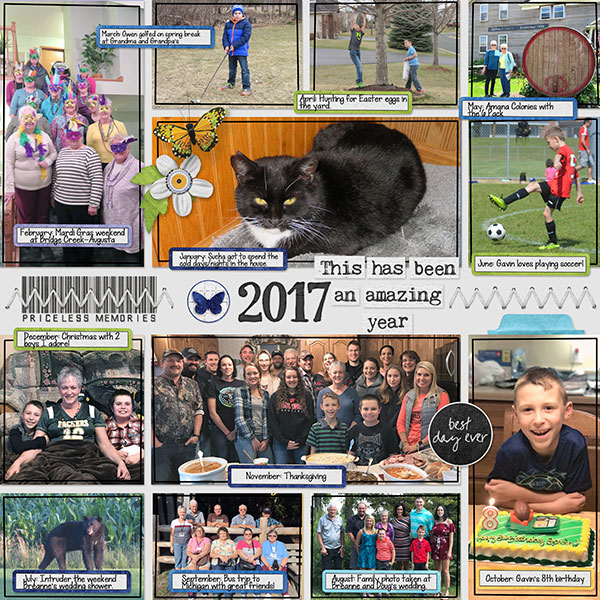 An Amazing Year