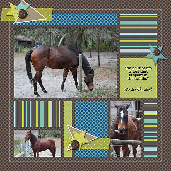 An Hour of Life In The Saddle