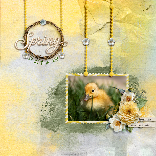 AOM-06 - Spring is in the Air