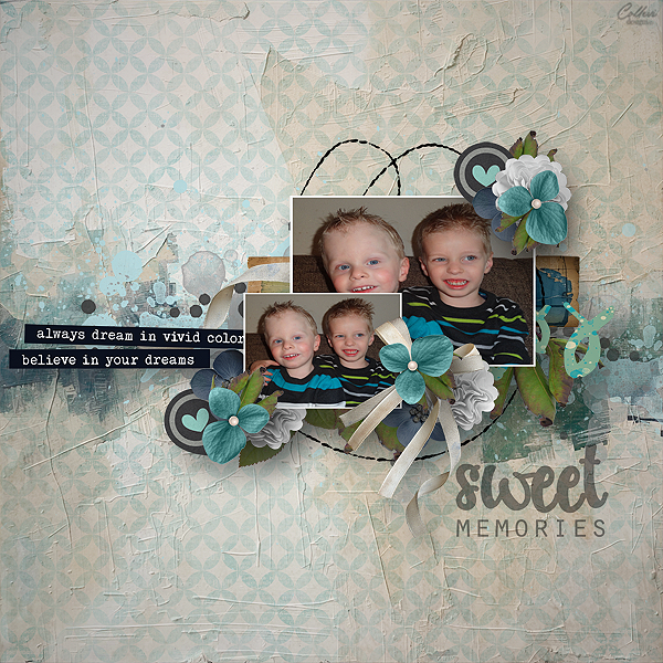 AOM Fayette designs 28-04.png