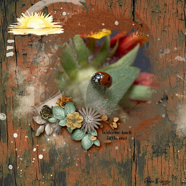 AOM26-04-14-mask-challenge