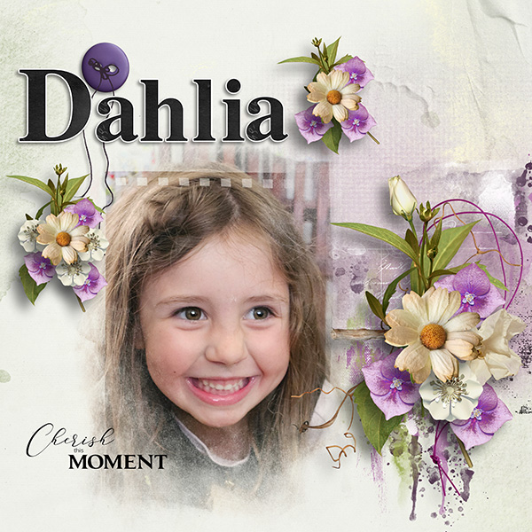 Aphabet Challenge - Dahlia.jpg