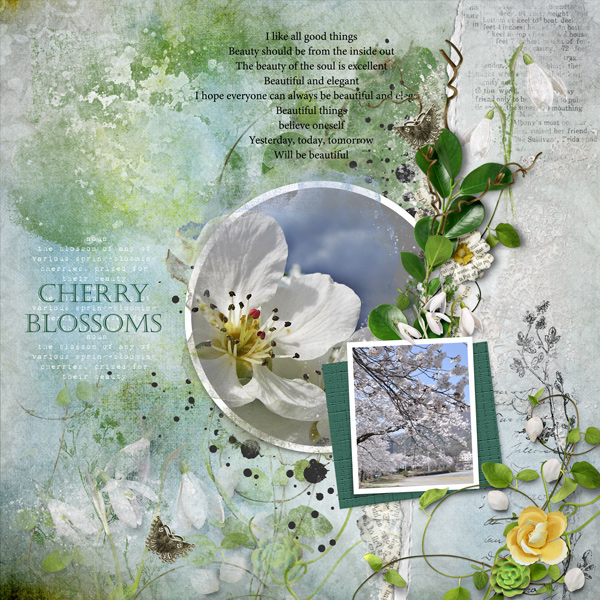 Apr 2022 Template Challenge - Cherry-Blossoms.jpg