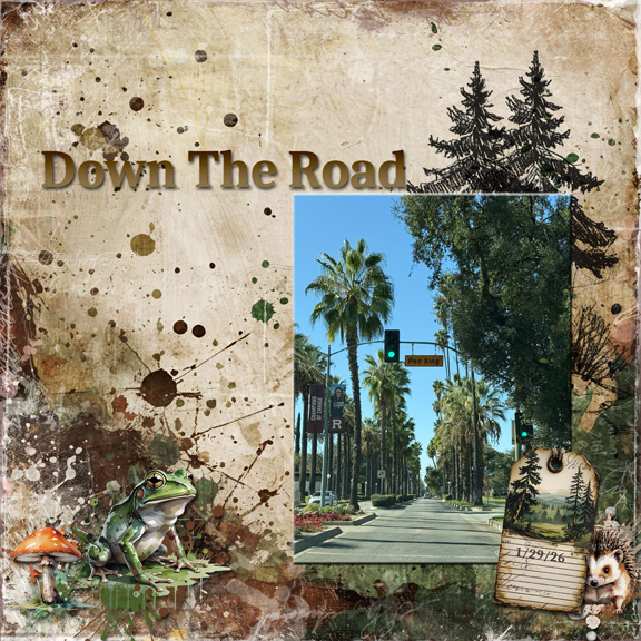 Asymmetry 8x8 72.jpg