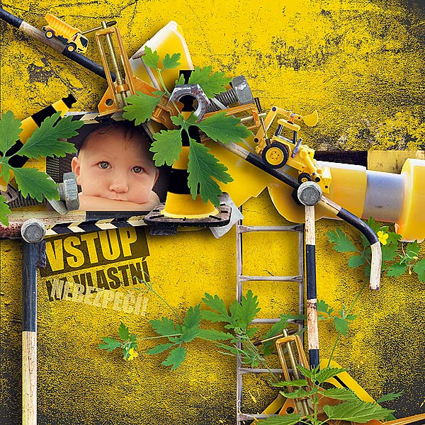 At Your Own Risk by PST Designs