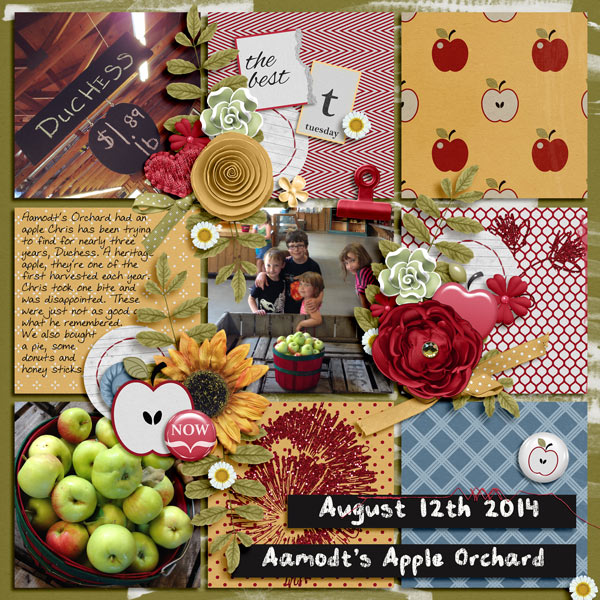 August122014Orchard