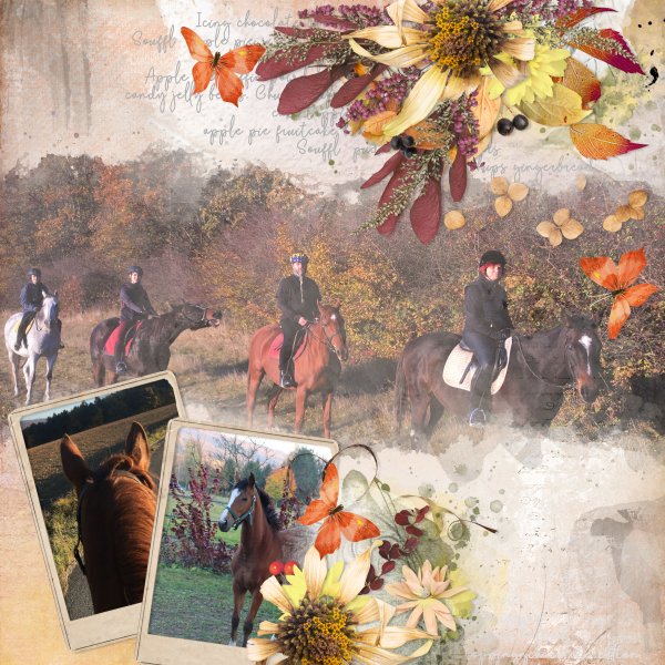 Autumn from horseback