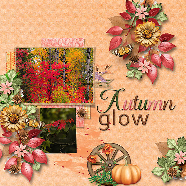 Autumn-Glow-web.jpg