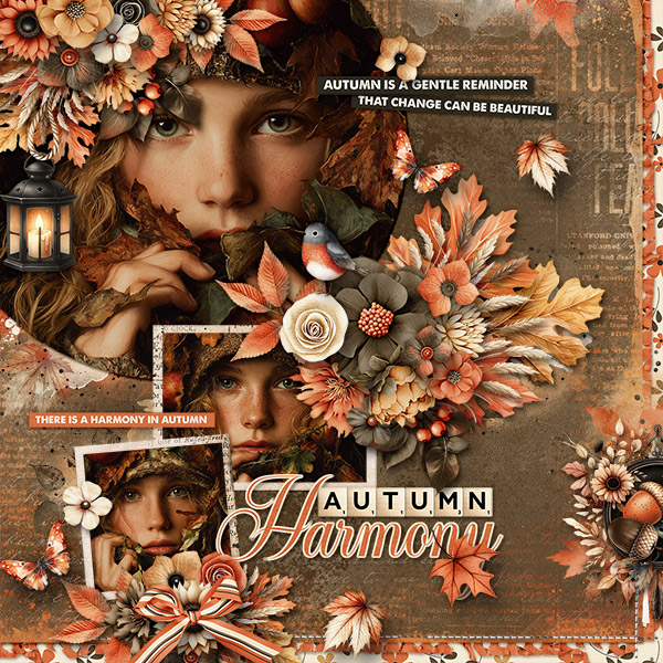 Autumn-Harmony.jpg