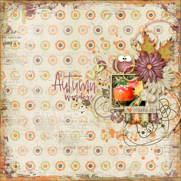 Autumn Wonders