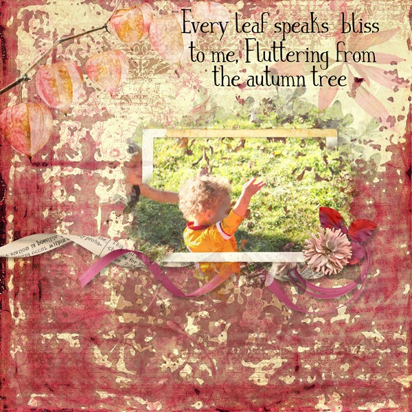 Autumns Mosaic of Colors