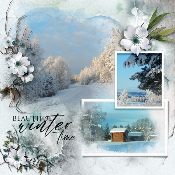 Beautiful-winter-time.jpg