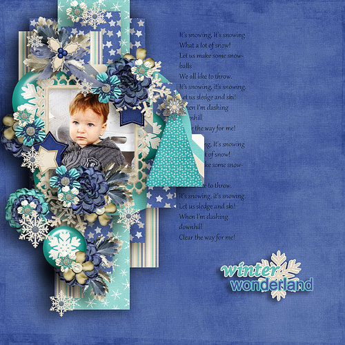 Beauty in Winter Memory