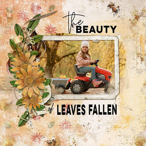 Beauty of Fallen Leaves