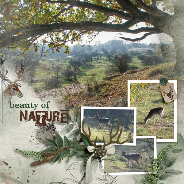 Beauty of Nature