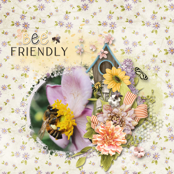 Bee friendly