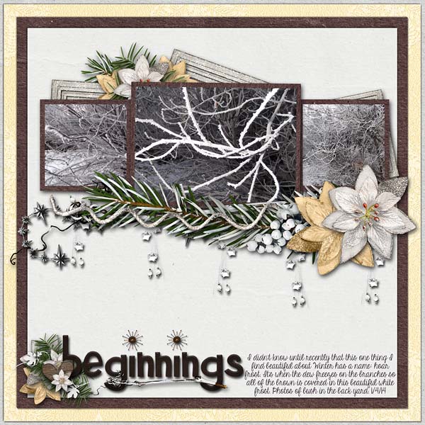 Beginnings