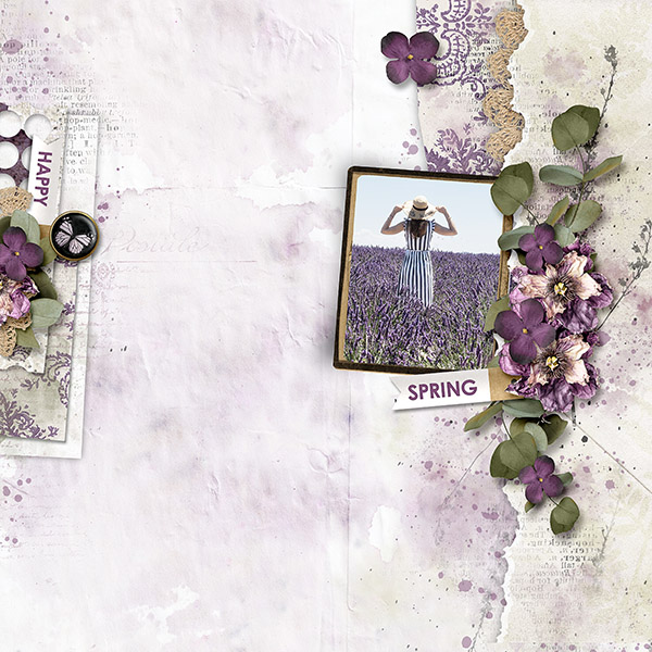 bellisae_MUIA copy.jpg