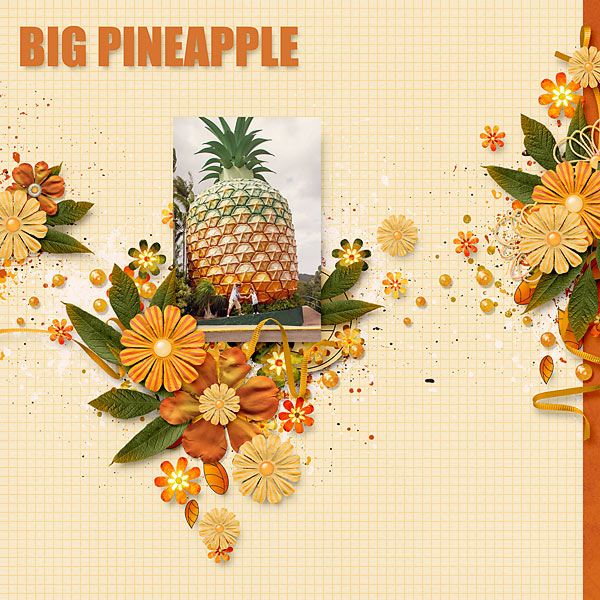 Big Pineapple