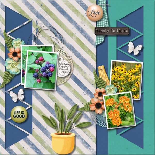 Bingo - Plants