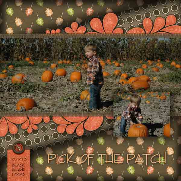 Black Island Farms - Pumpkin Patch