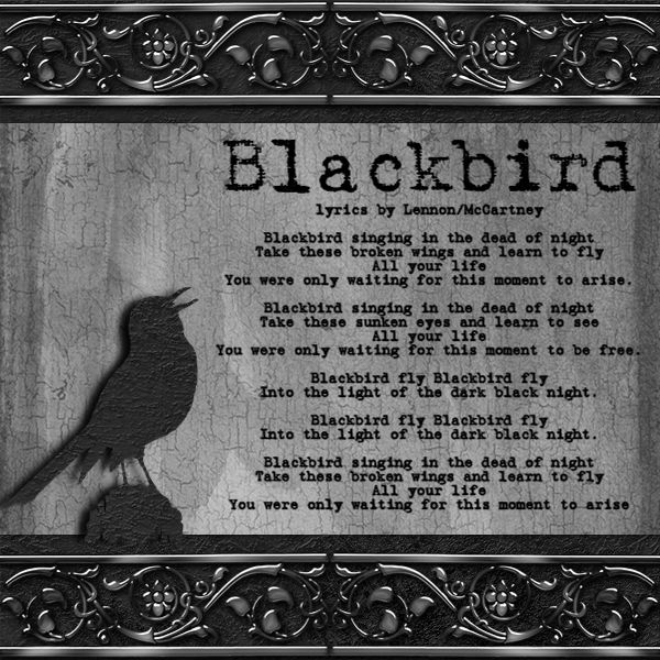 Blackbird