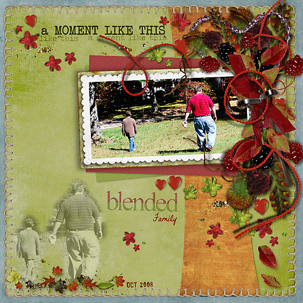 Blended Family