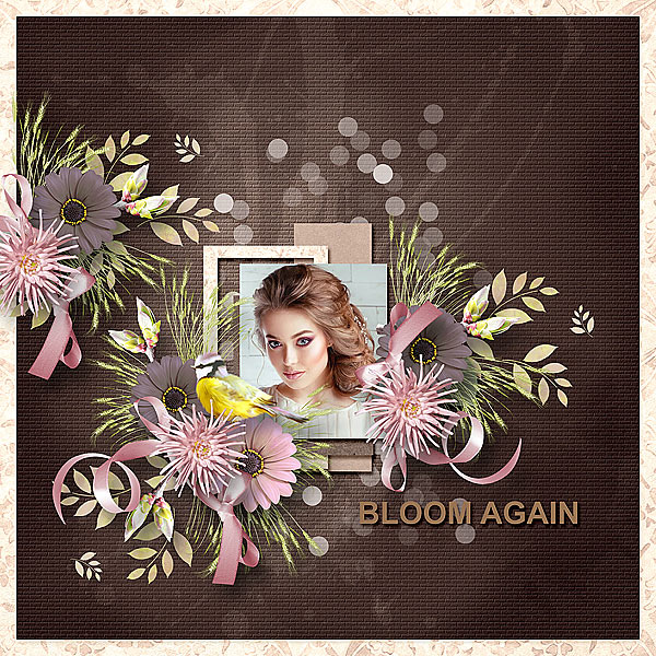 Bloom Again