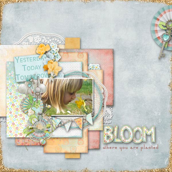 Bloom where you are planted