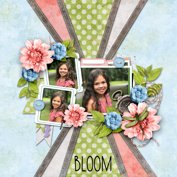 Bloom