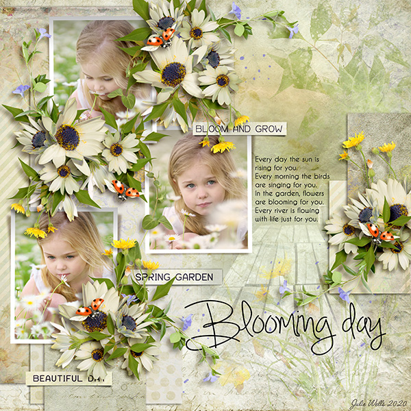 blooming-day