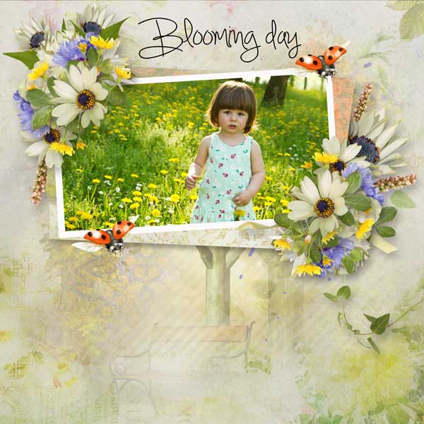 blooming-day