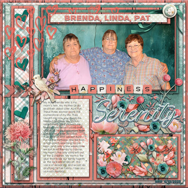 Brenda, Linda and Pat
