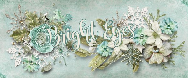 Bright Eyes Winter Siggy