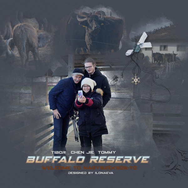 BuffaloReserve