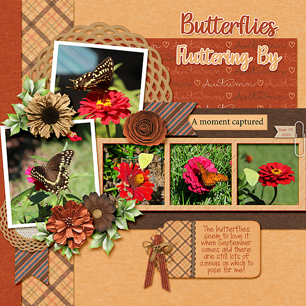 Butterflies-Fluttering-By-copy.jpg