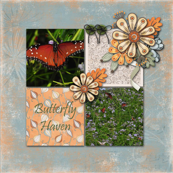 Butterfly Haven