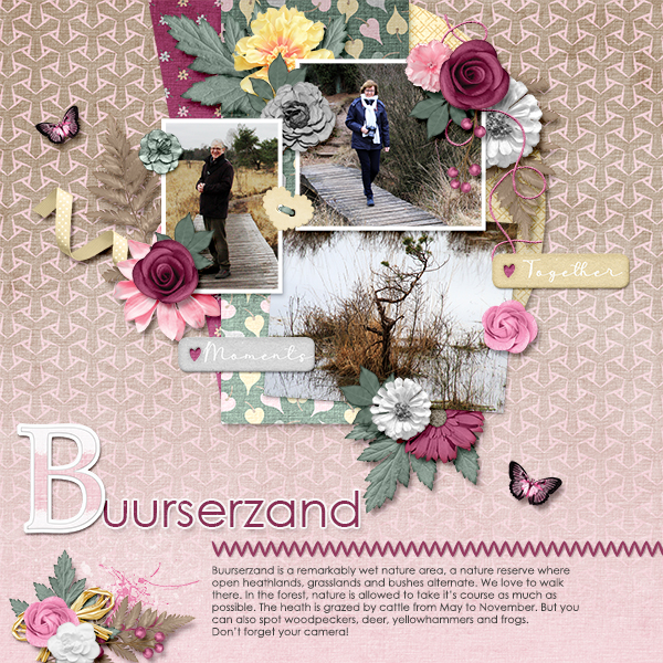 Buurserzand