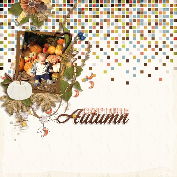 Capture Autumn