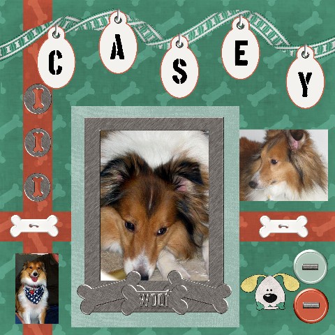 Casey Boy