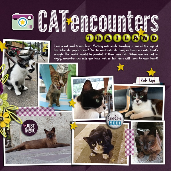 CAT encounters (Right Side)