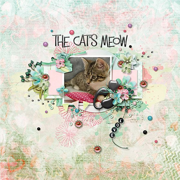 Cat's Meow