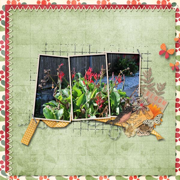 cbj_beautyinbloom_kit