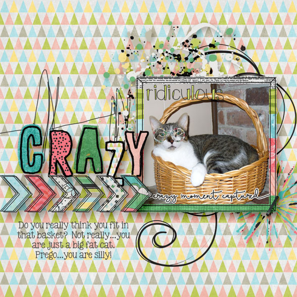 cbj_ymkoc_crazycat