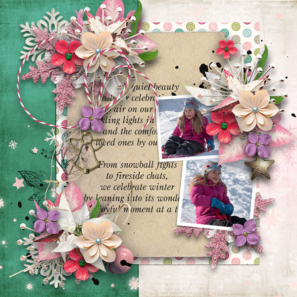 Celebrate The Season