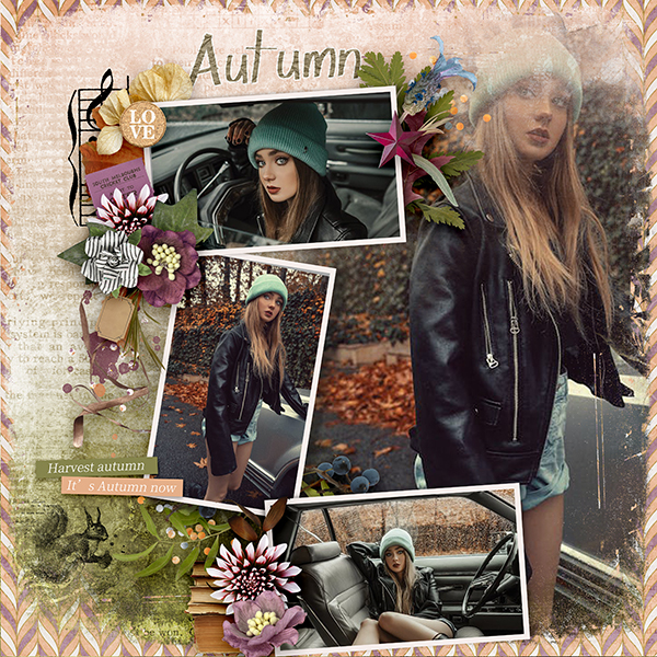 celebration-fall.jpg