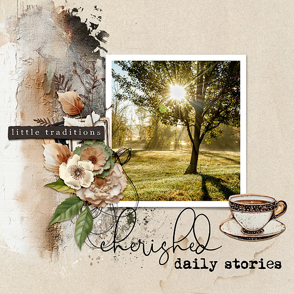 Cherished Daily Stories