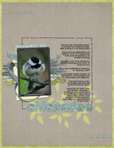 Chickadee_rectangle_copy