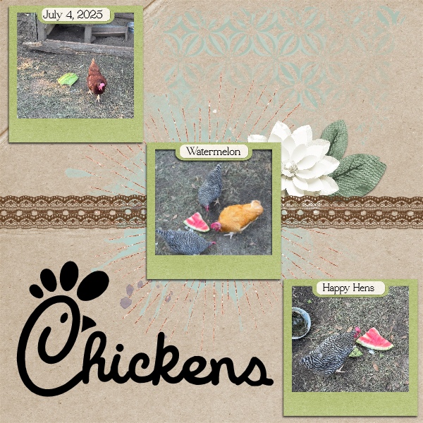 Chicken PBP7.jpg