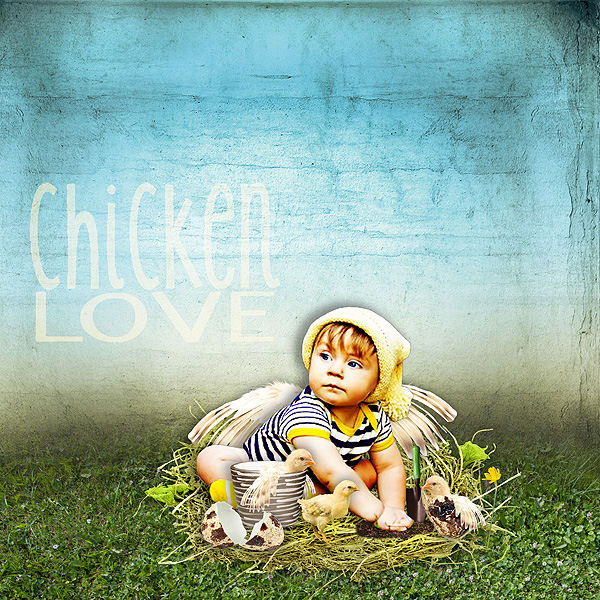 chiken love